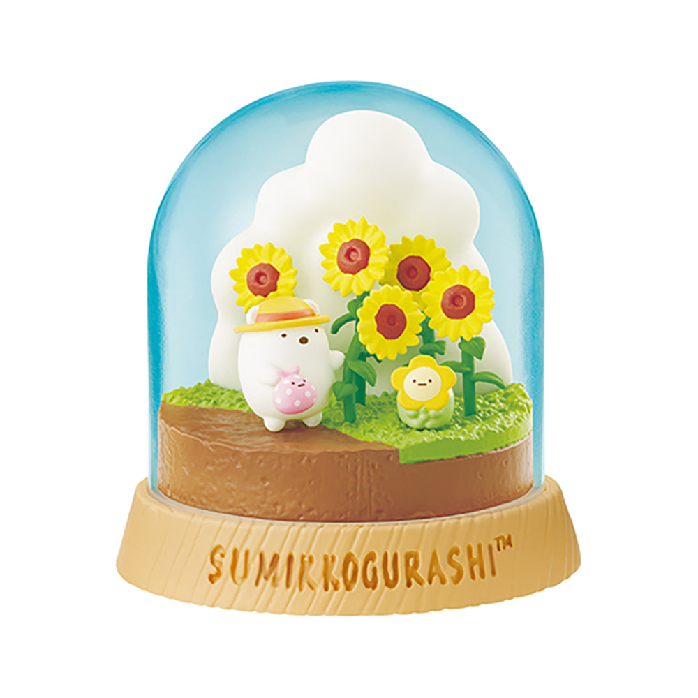 【現貨】SUMIKKO Everyday Terrarium (商品以每6盒(原箱)為單位下單)