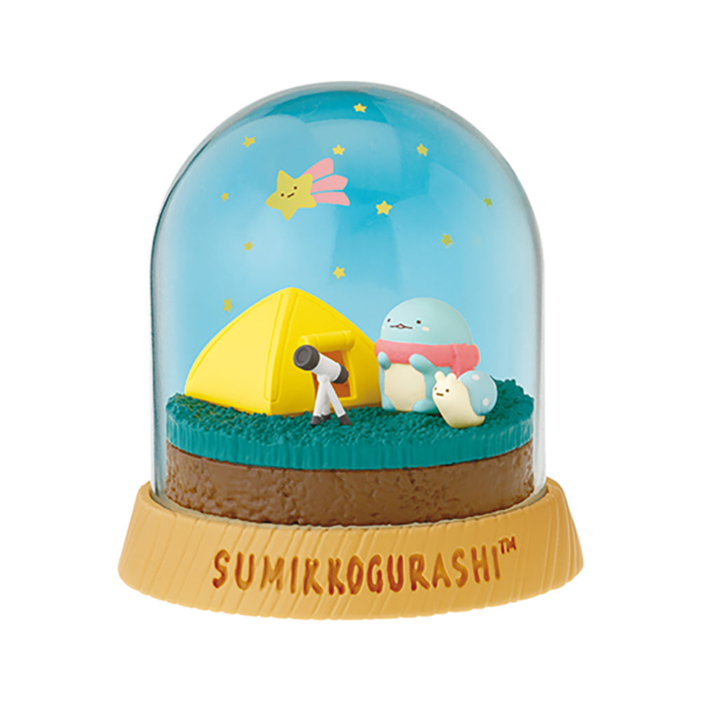 【現貨】SUMIKKO Everyday Terrarium (商品以每6盒(原箱)為單位下單)