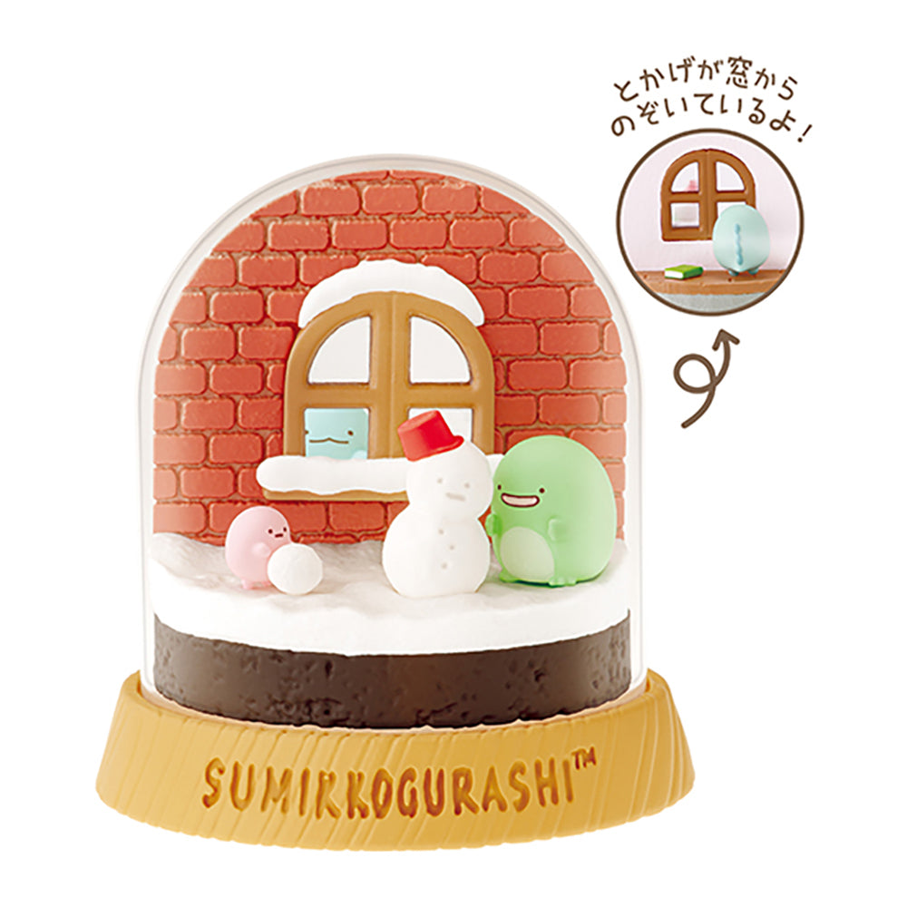 【現貨】SUMIKKO Everyday Terrarium (商品以每6盒(原箱)為單位下單)