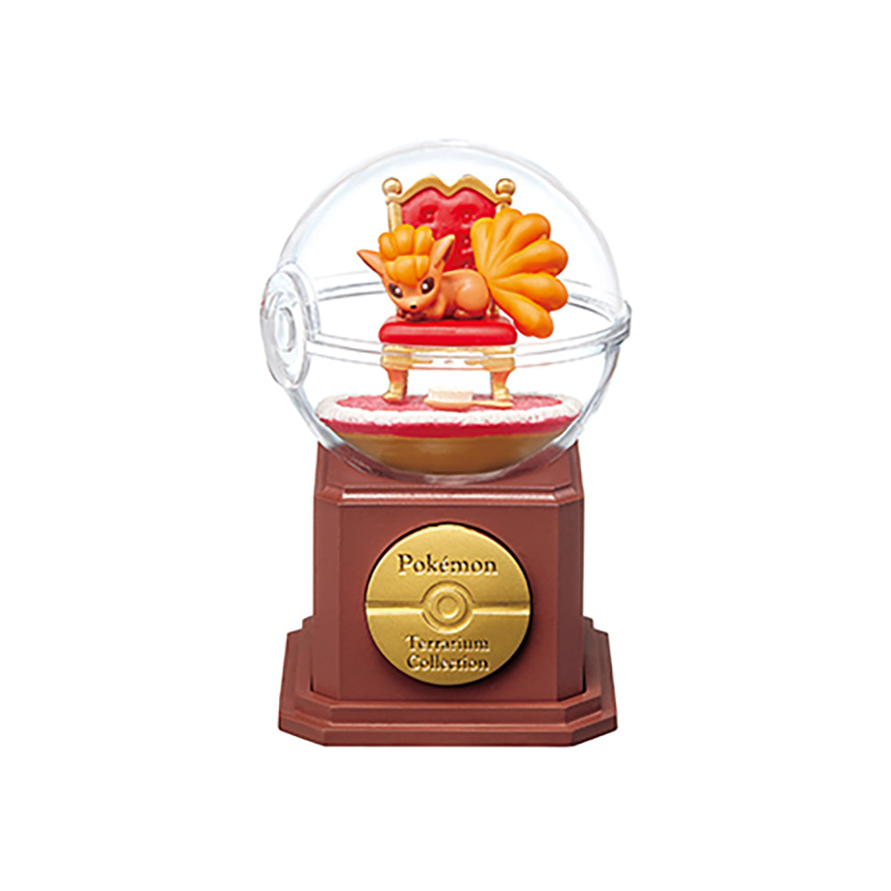 【現貨】POKEMON Terrarium 10  (商品以每6盒(原箱)為單位下單)