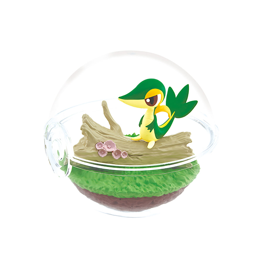 【現貨】POKEMON Terrarium 12 (商品以每6盒(原箱)為單位下單)