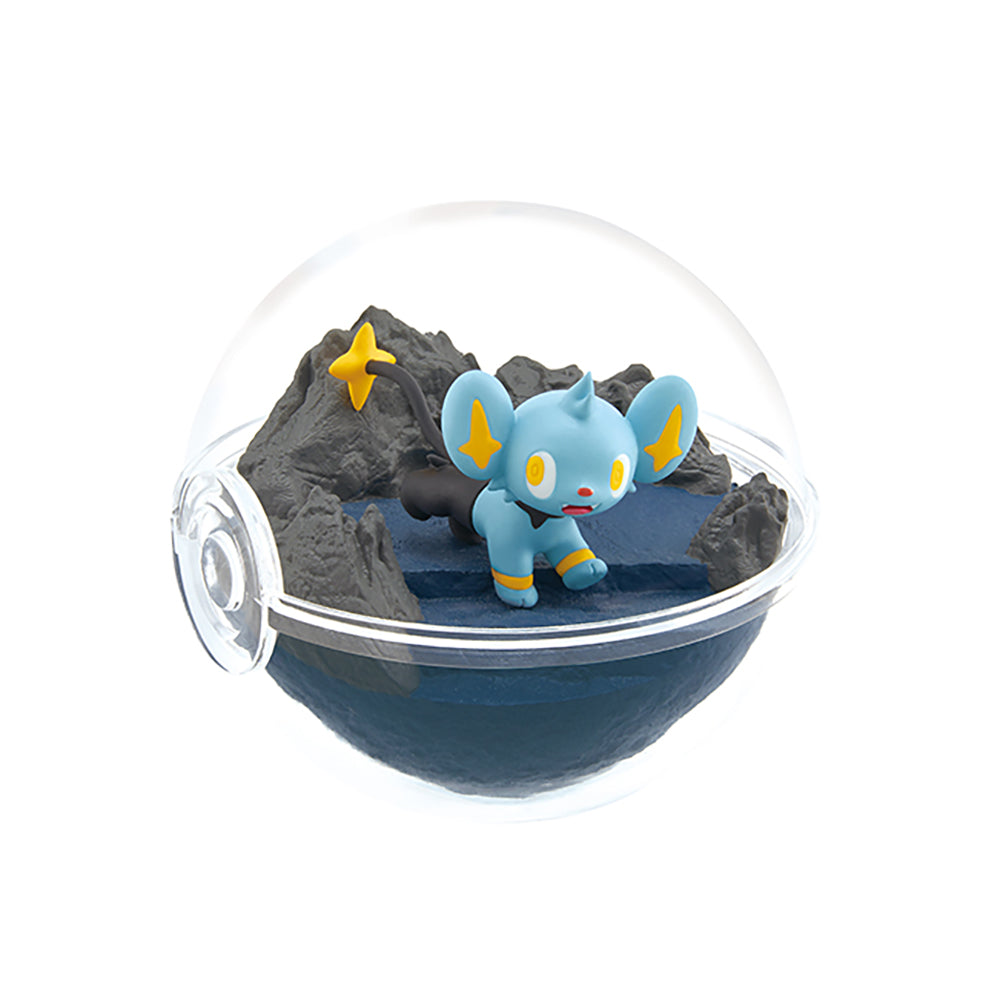 【現貨】POKEMON Terrarium 12 (商品以每6盒(原箱)為單位下單)