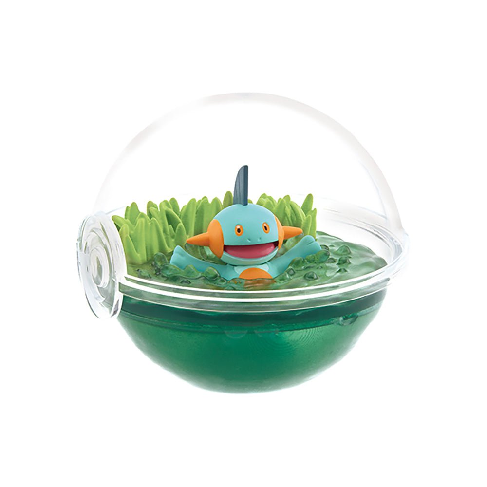 【現貨】POKEMON Terrarium 12 (商品以每6盒(原箱)為單位下單)