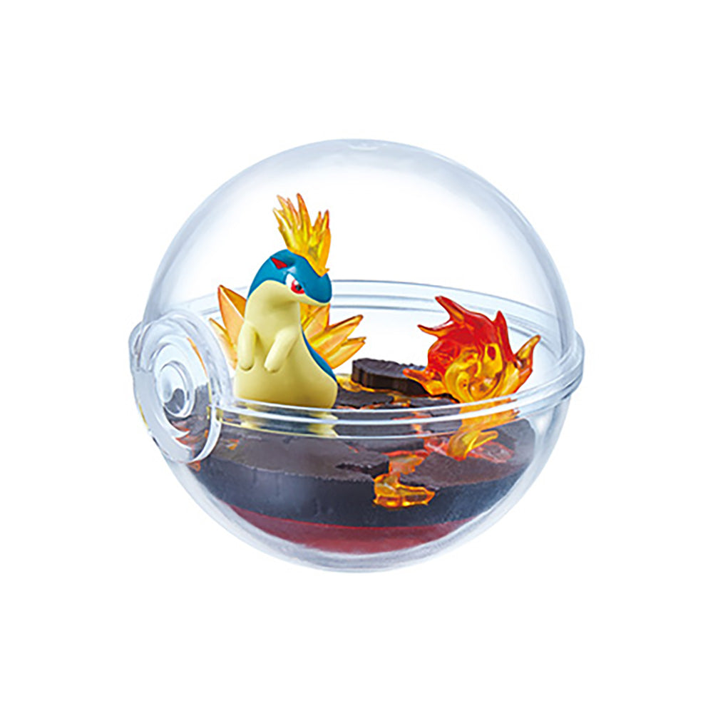 【現貨】POKEMON Terrarium 13 (商品以每6盒(原箱)為單位下單)