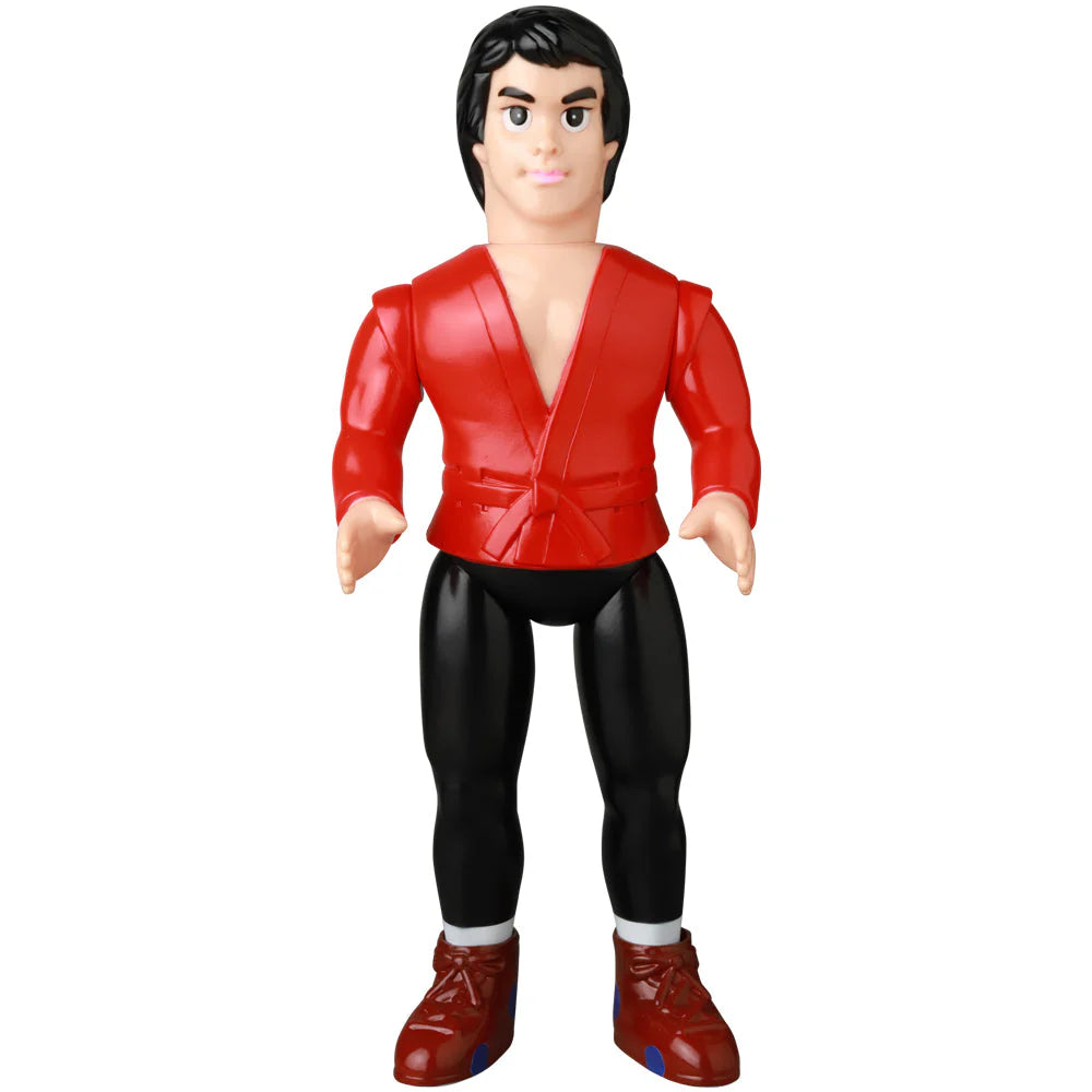 SFS Sayama Satoru (Sambo Technique Book Ver.)