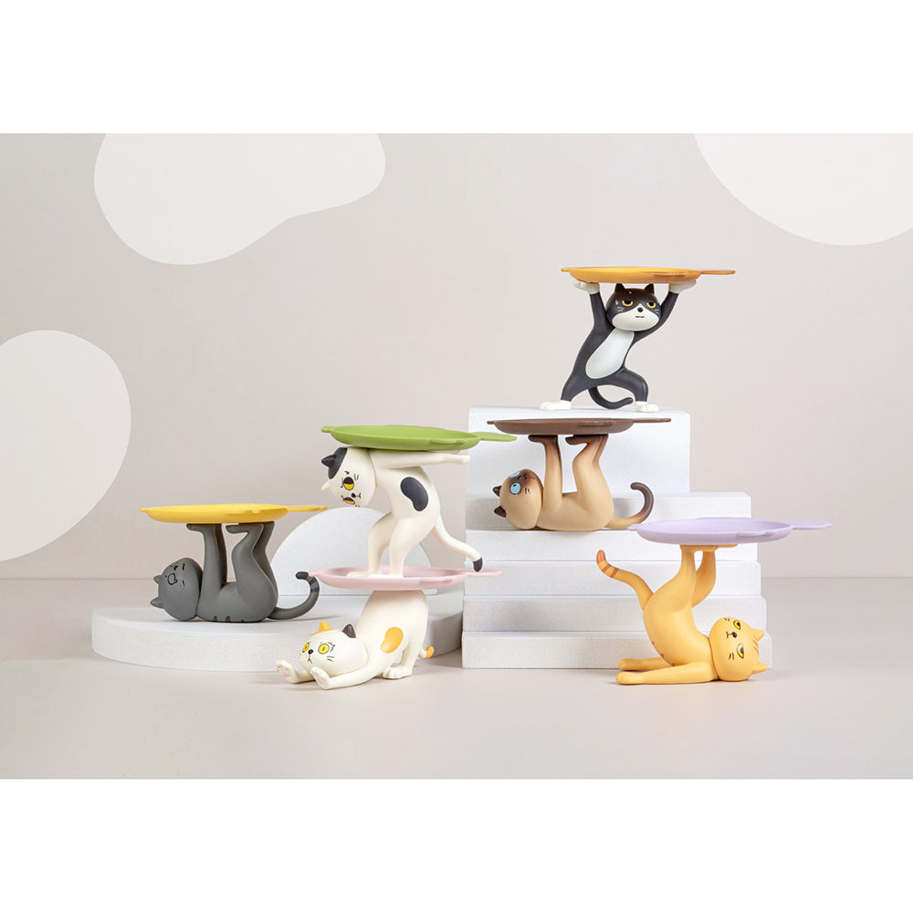 Ennoshitano Neko (1箱6盒)