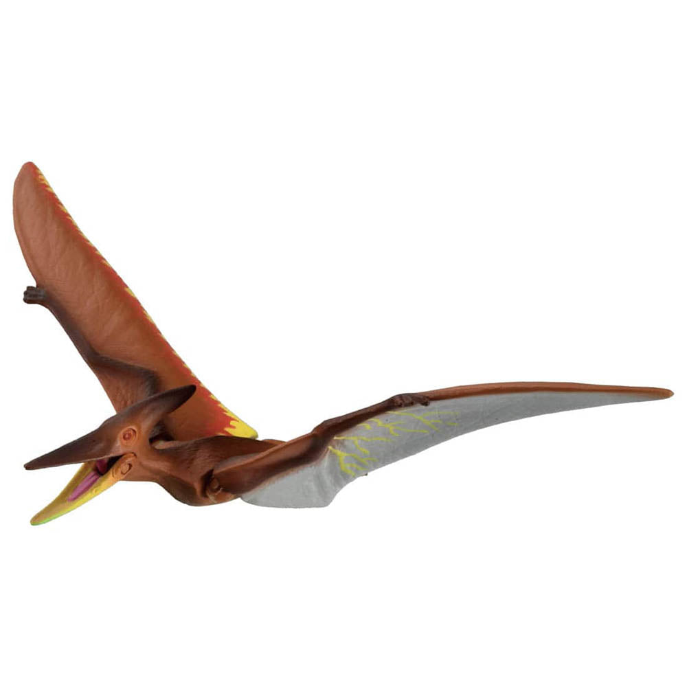 【現貨】Ania Kingdom Figure-Pteira (Pteranodon)