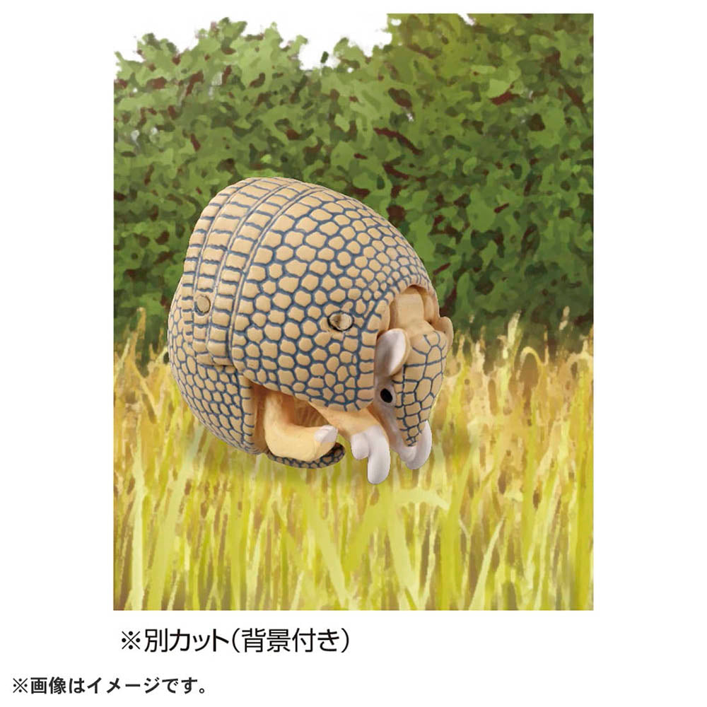 【現貨】Ania Figure AS-45 Armadillo