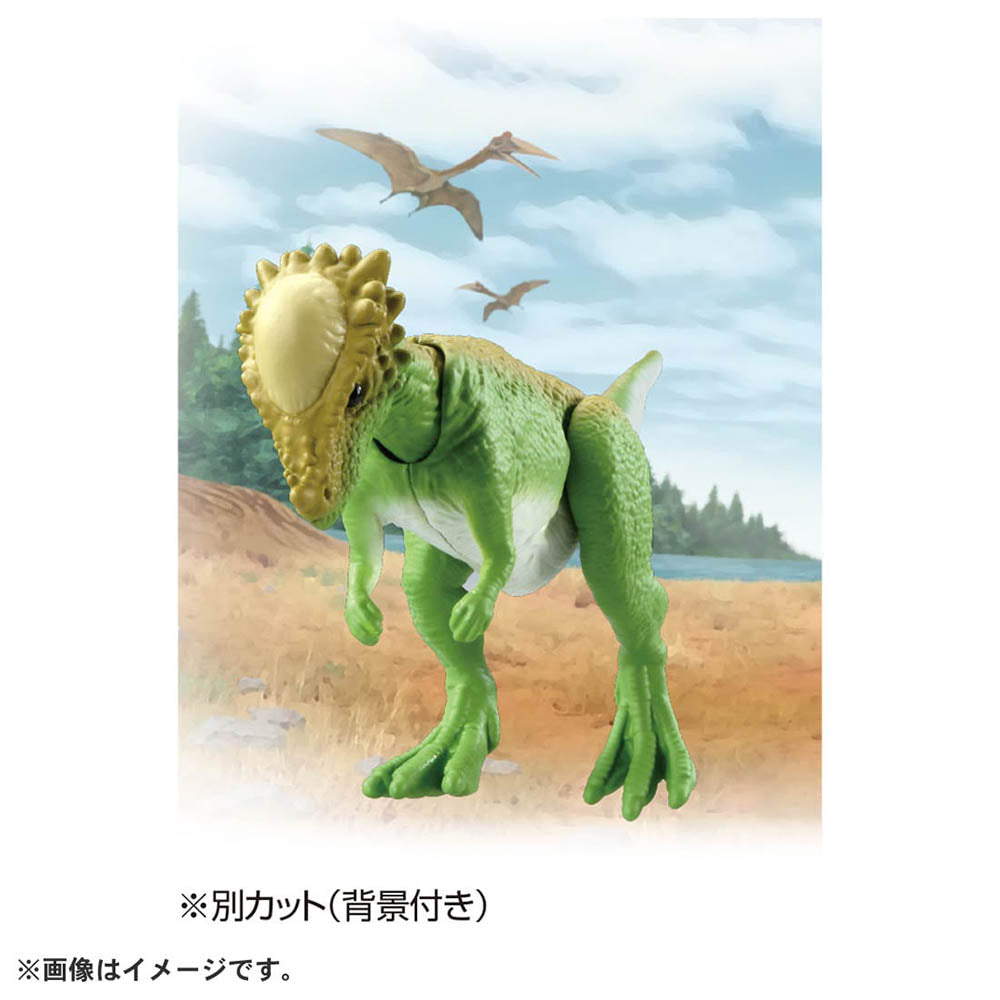 【現貨】Ania Figure AL-22 Pachycephalosaurus