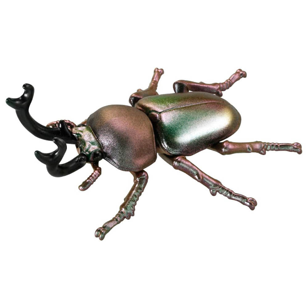 【現貨】Ania Figure AS-42 Rainbow Beetle