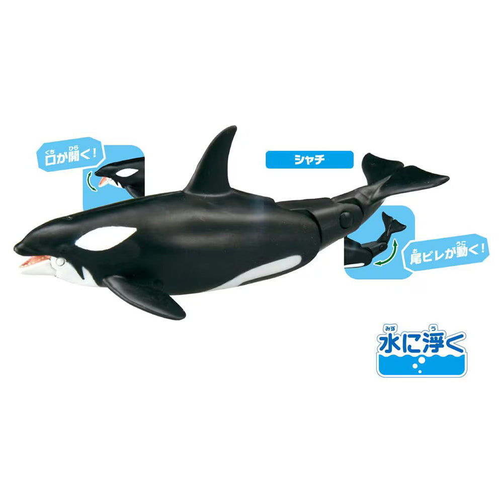 【現貨】Ania Figure AA-02 Sea Animals Gift Set