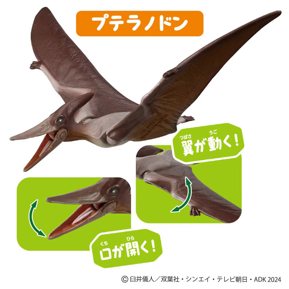 【現貨】Ania Shinchan Gift Set