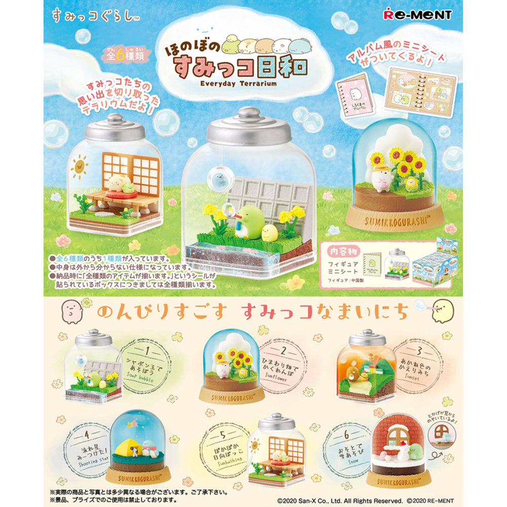 【現貨】SUMIKKO Everyday Terrarium (商品以每6盒(原箱)為單位下單)