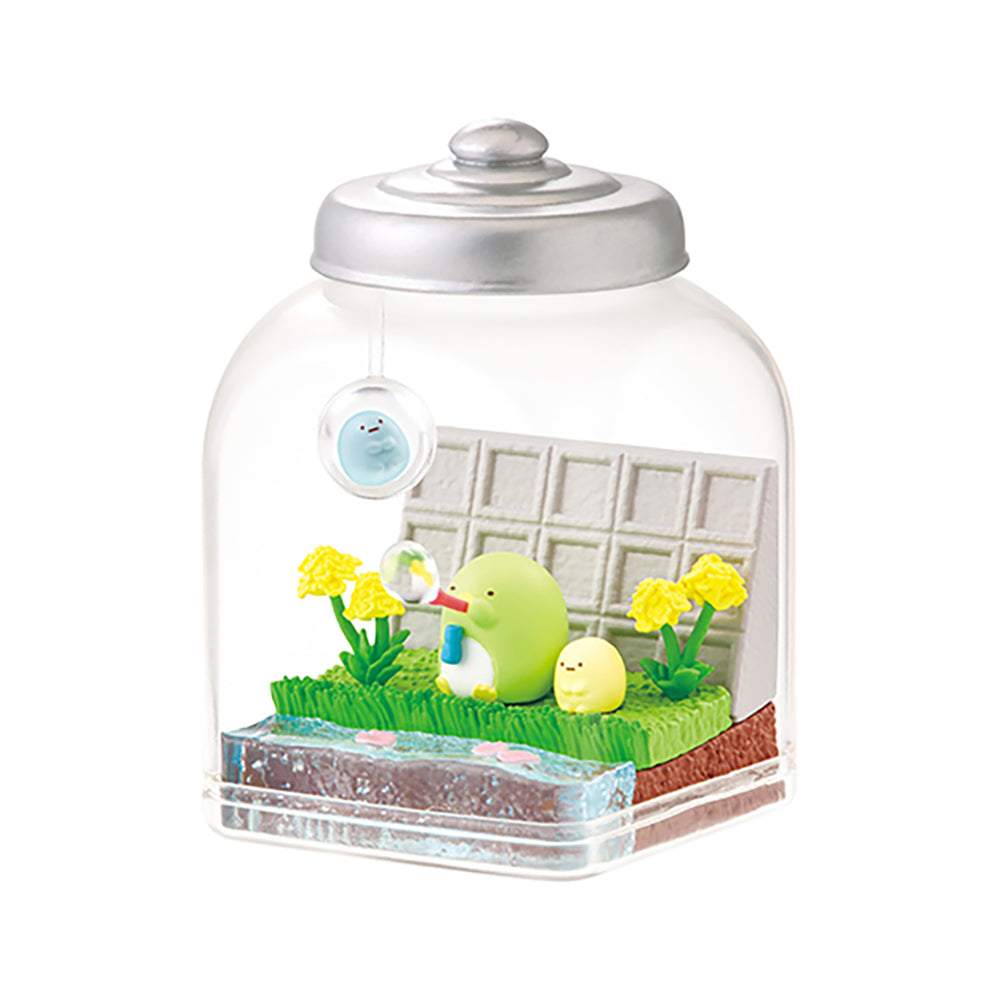 【現貨】SUMIKKO Everyday Terrarium (商品以每6盒(原箱)為單位下單)