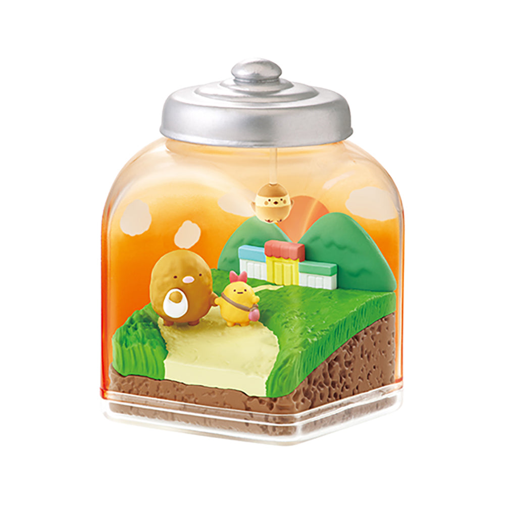 【現貨】SUMIKKO Everyday Terrarium (商品以每6盒(原箱)為單位下單)