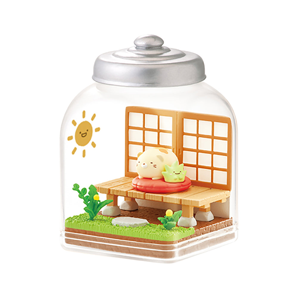 【現貨】SUMIKKO Everyday Terrarium (商品以每6盒(原箱)為單位下單)