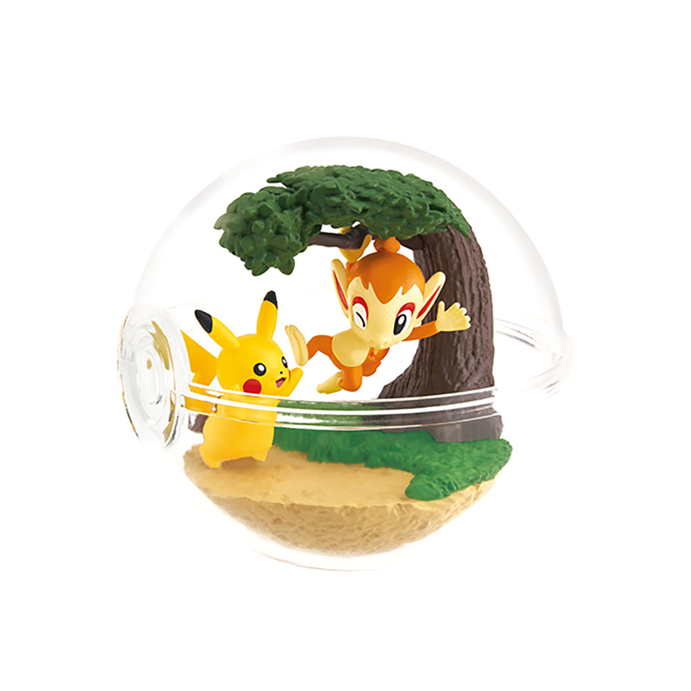 【現貨】POKEMON Terrarium 12 (商品以每6盒(原箱)為單位下單)