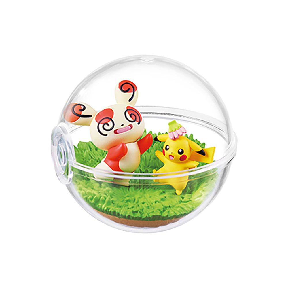 【現貨】POKEMON Terrarium Happy days (商品以每6盒(原箱)為單位下單)