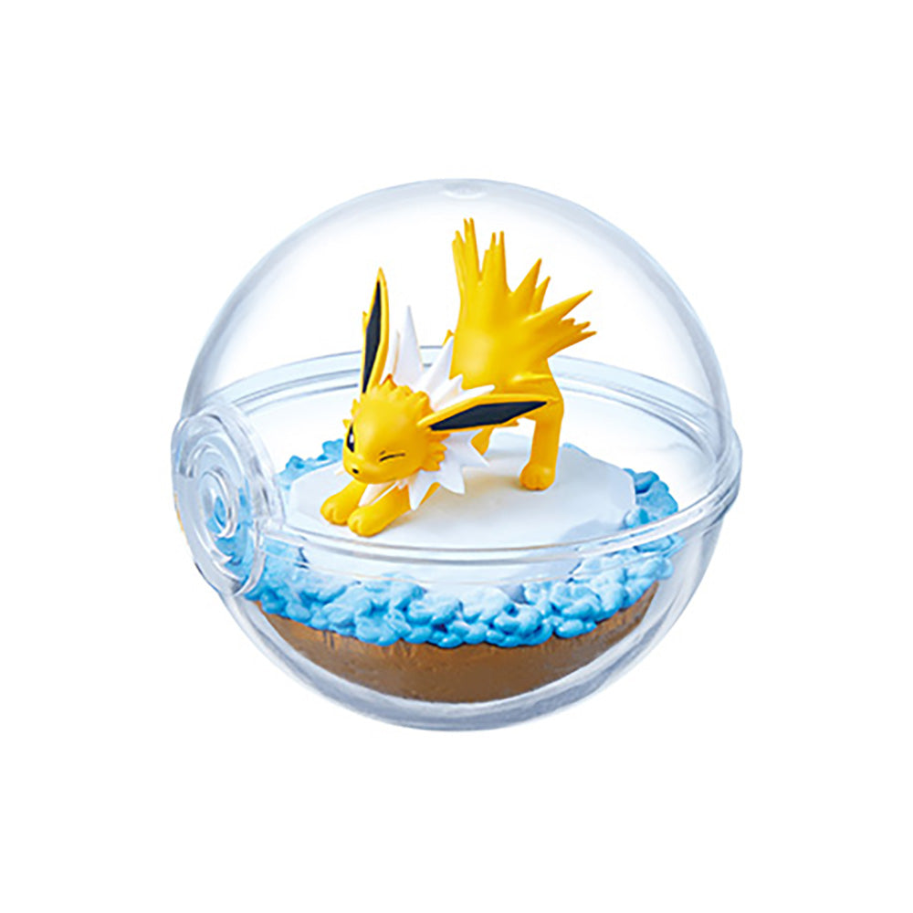 【現貨】POKEMON Terrarium 13 (商品以每6盒(原箱)為單位下單)