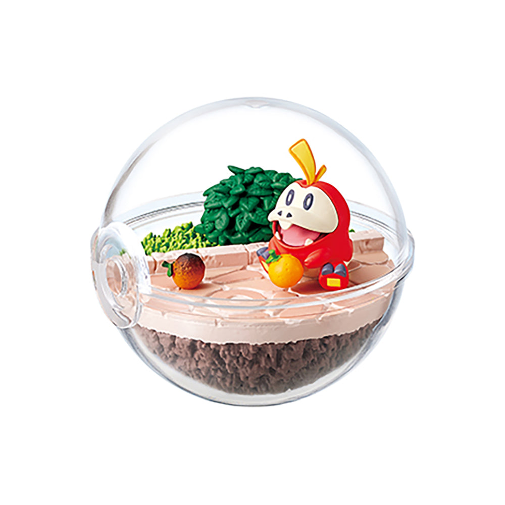 【現貨】POKEMON Terrarium EX Paldea(商品以每6盒(原箱)為單位下單)