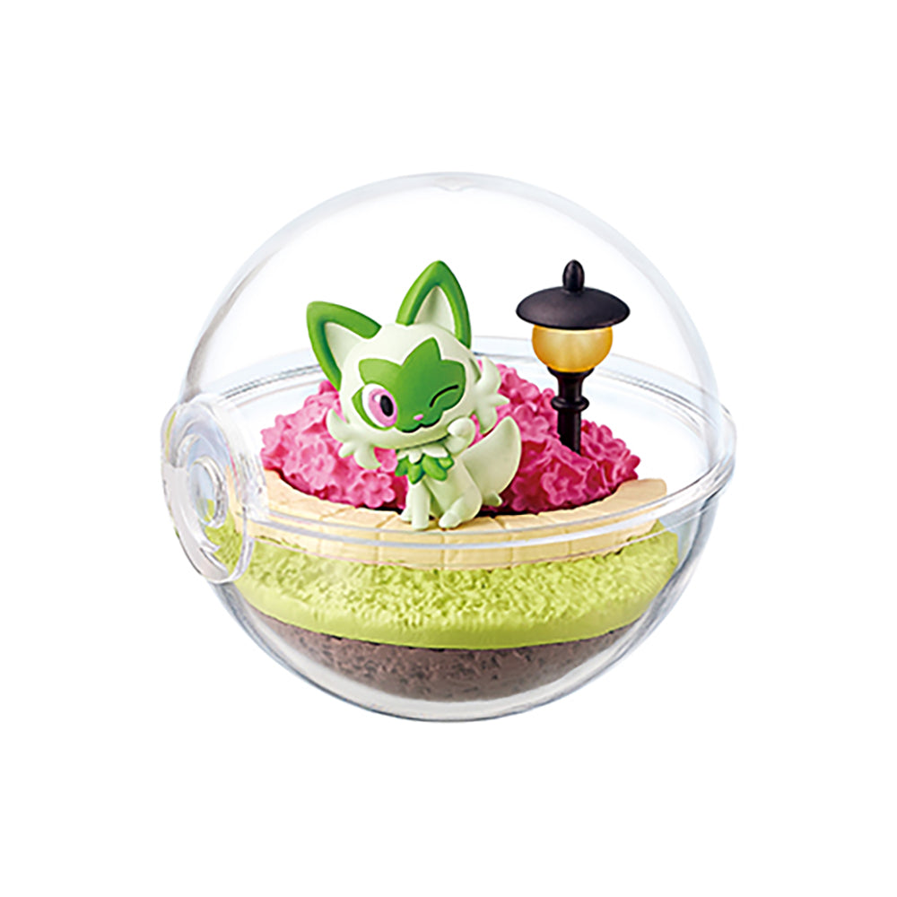 【現貨】POKEMON Terrarium EX Paldea(商品以每6盒(原箱)為單位下單)