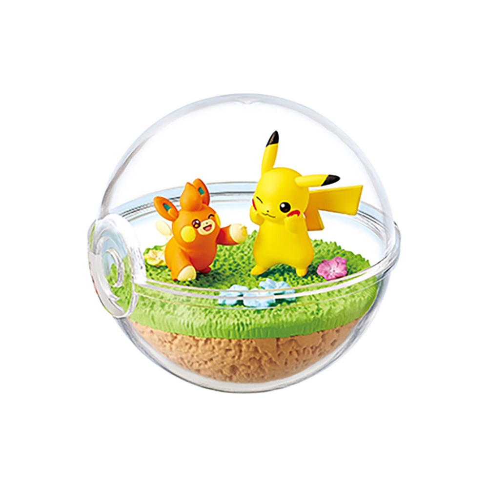 【現貨】POKEMON Terrarium EX Paldea(商品以每6盒(原箱)為單位下單)
