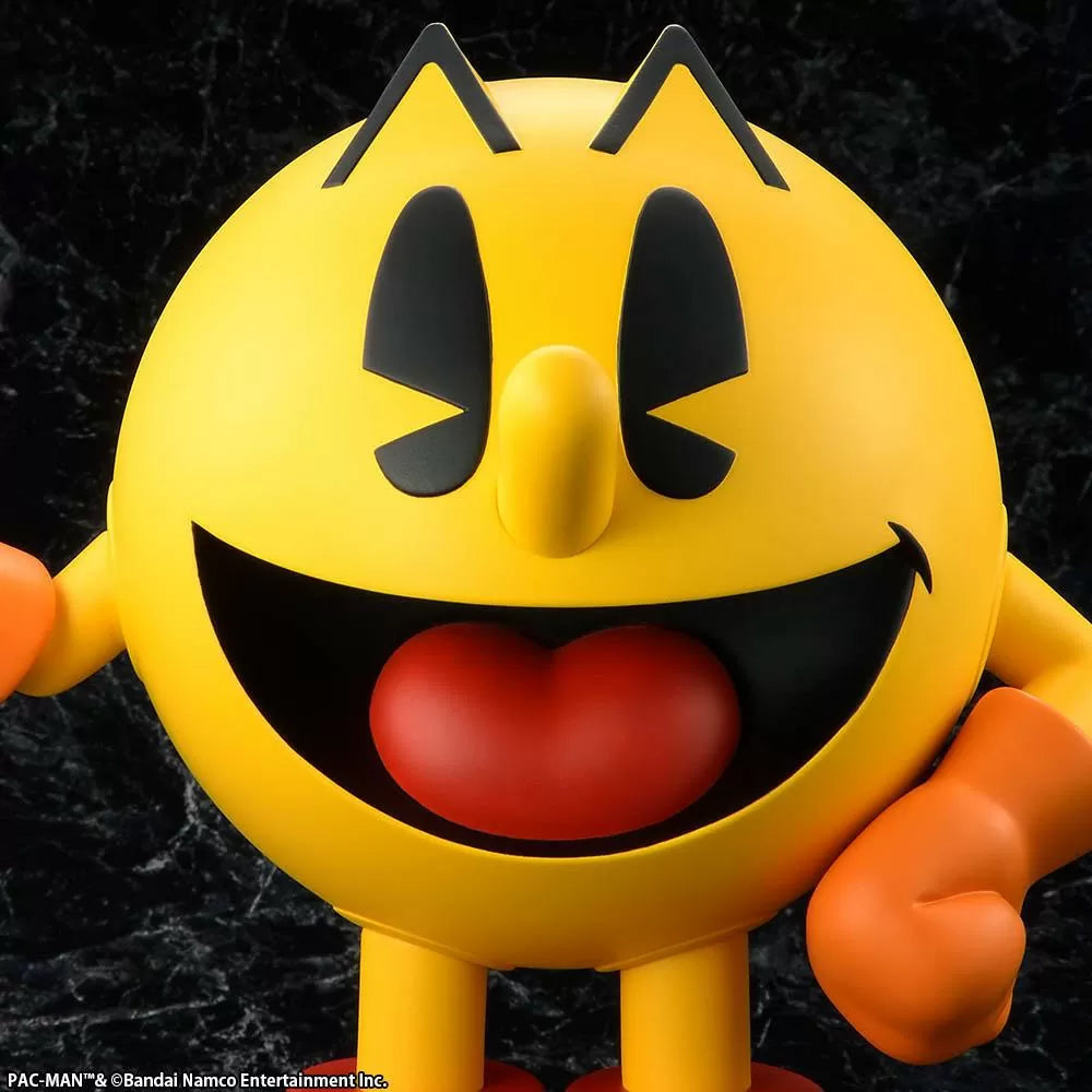 SoftB PAC-MAN
