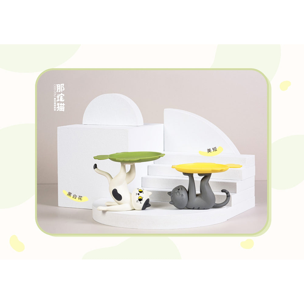 Ennoshitano Neko (1箱6盒)