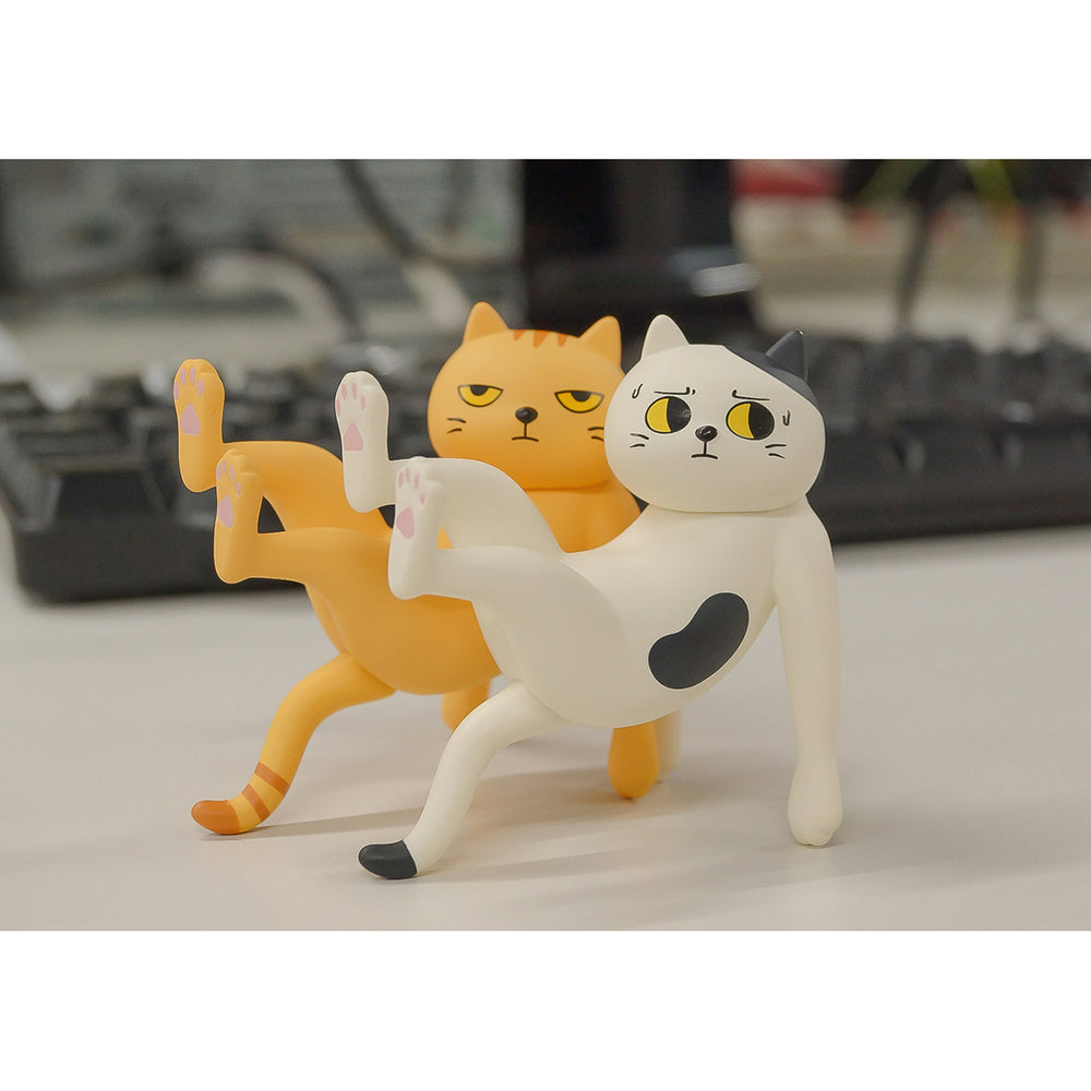 Ennoshitano Neko (1箱6盒)