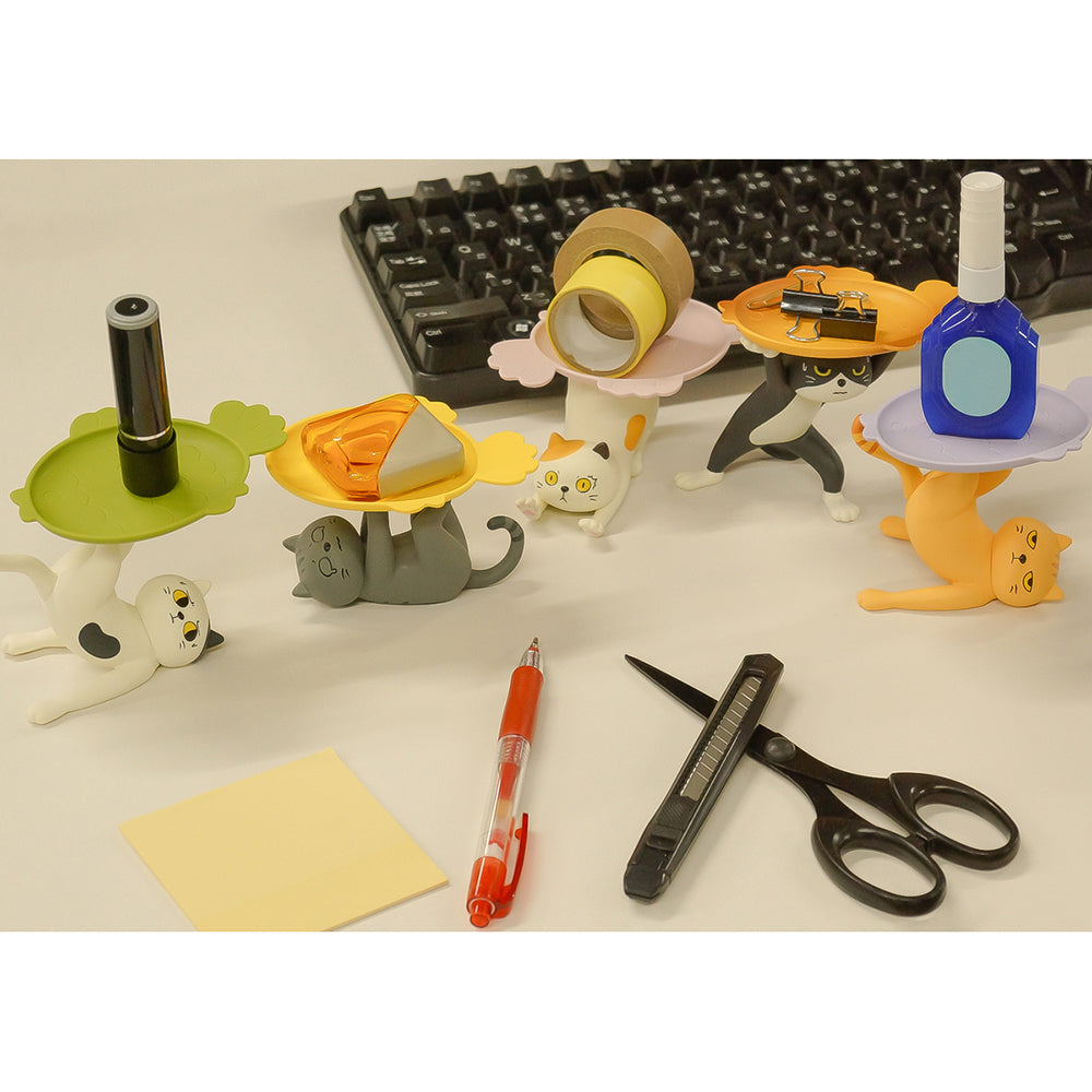 Ennoshitano Neko (1箱6盒)