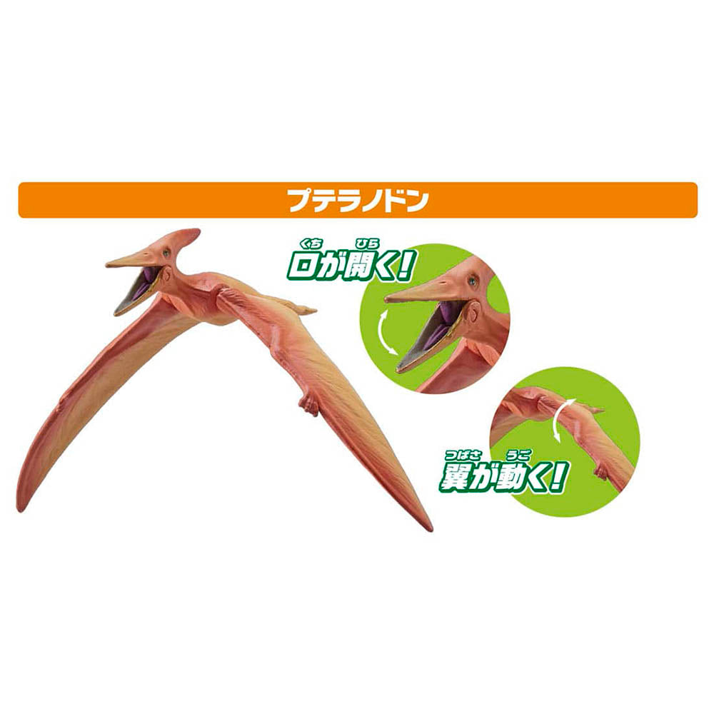 【現貨】Ania Set AA-03 Land and Sky Dinosaur