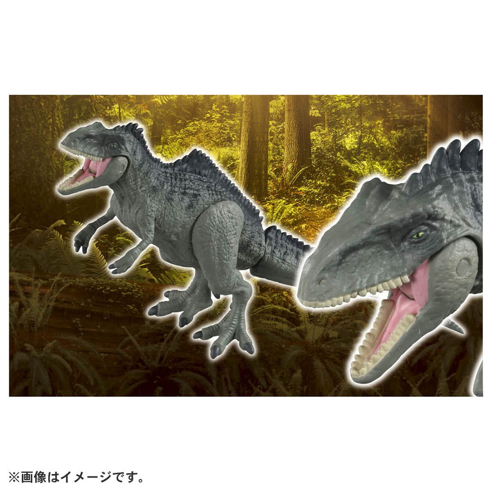 【現貨】Ania Figure-Jurassic World Giganotosaurus