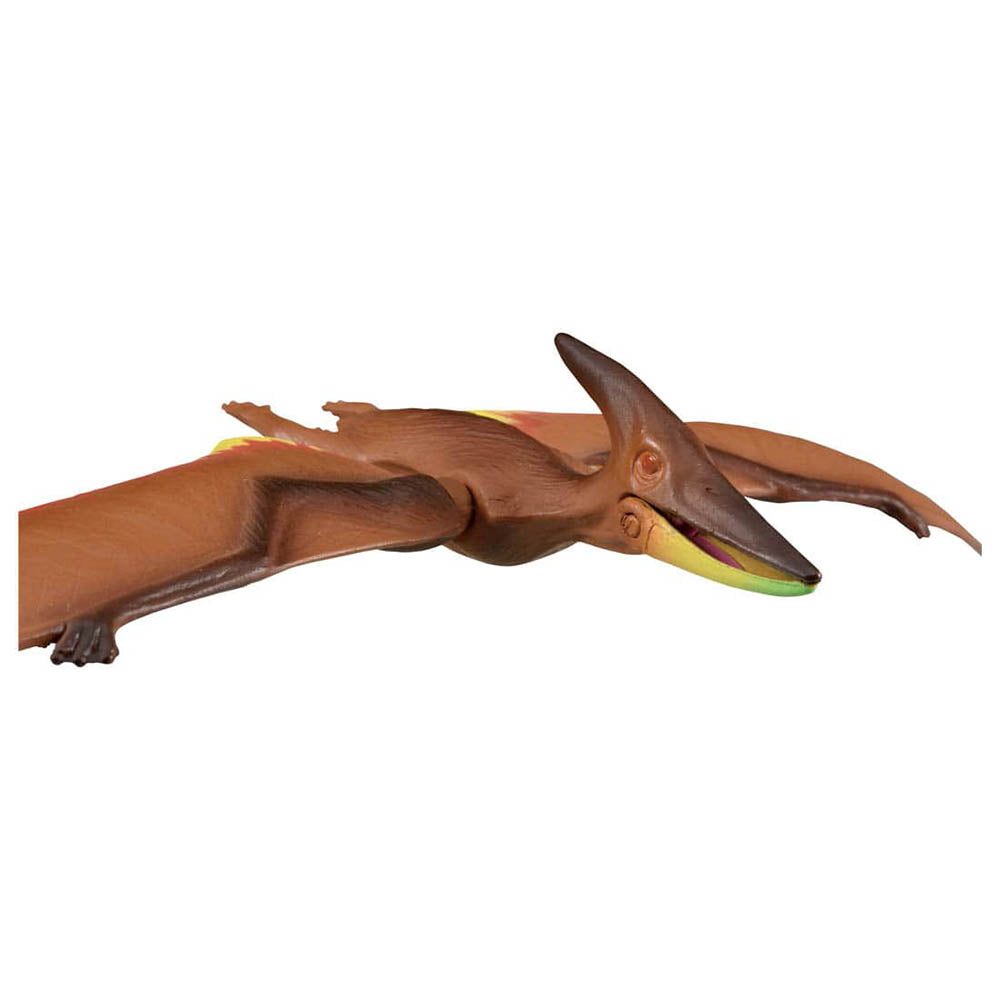 【現貨】Ania Kingdom Figure-Pteira (Pteranodon)