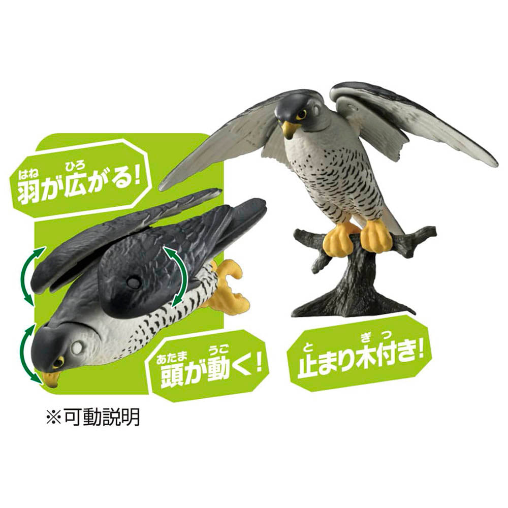 【現貨】Ania Figure AS-44 Peregrine Falcon