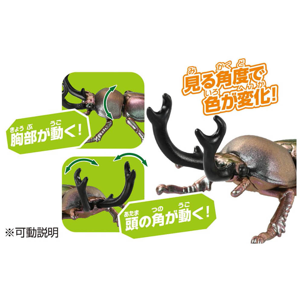【現貨】Ania Figure AS-42 Rainbow Beetle
