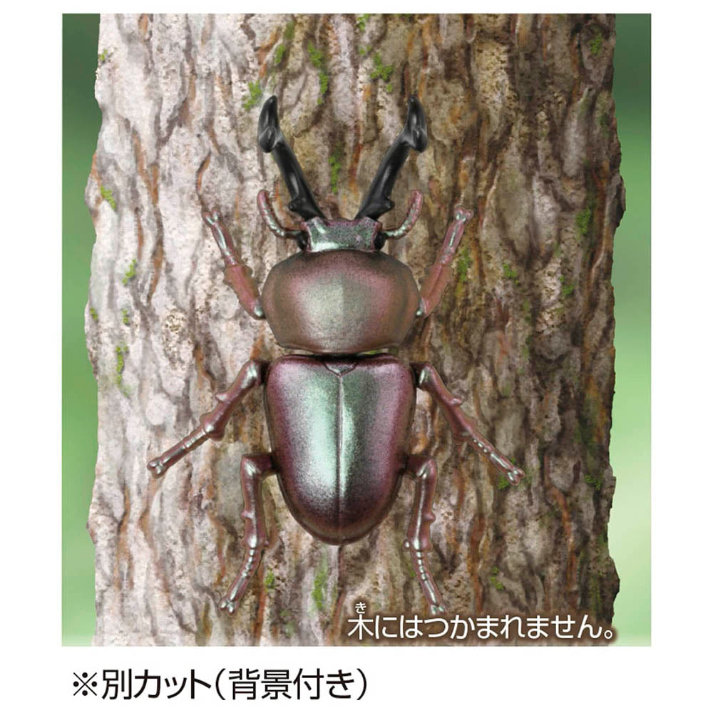 【現貨】Ania Figure AS-42 Rainbow Beetle