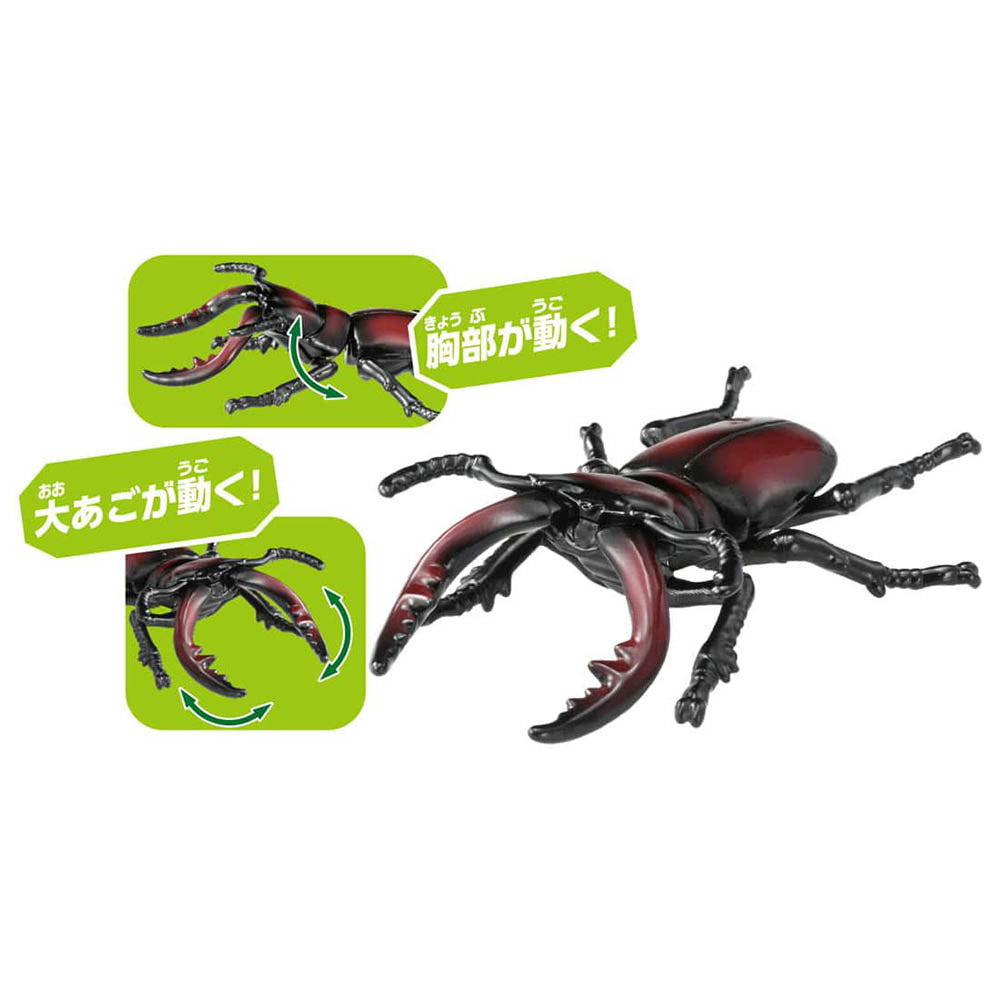 【現貨】Ania Figure AS-43 Sawtooth Stag Beetle