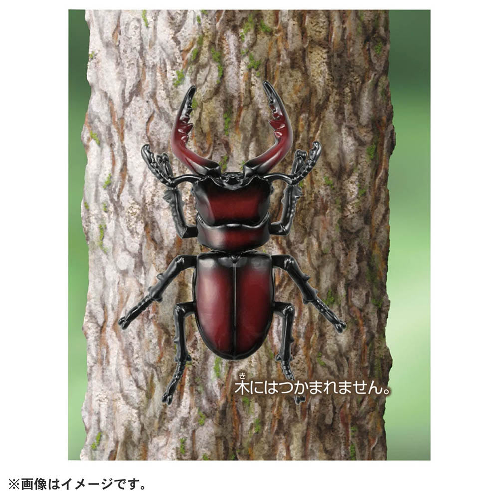 【現貨】Ania Figure AS-43 Sawtooth Stag Beetle