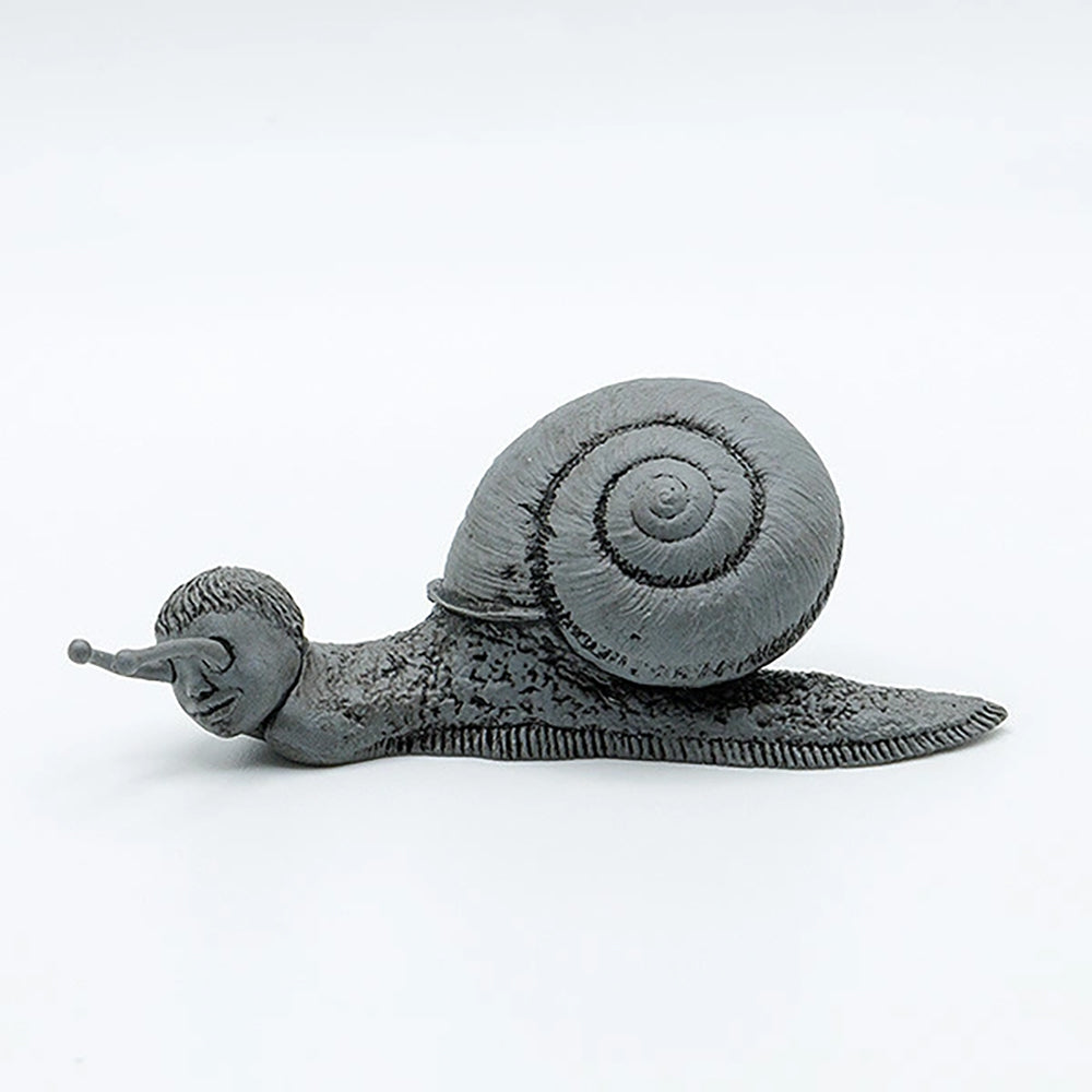 【限購】漩渦 詛咒小箱  (1箱8盒)