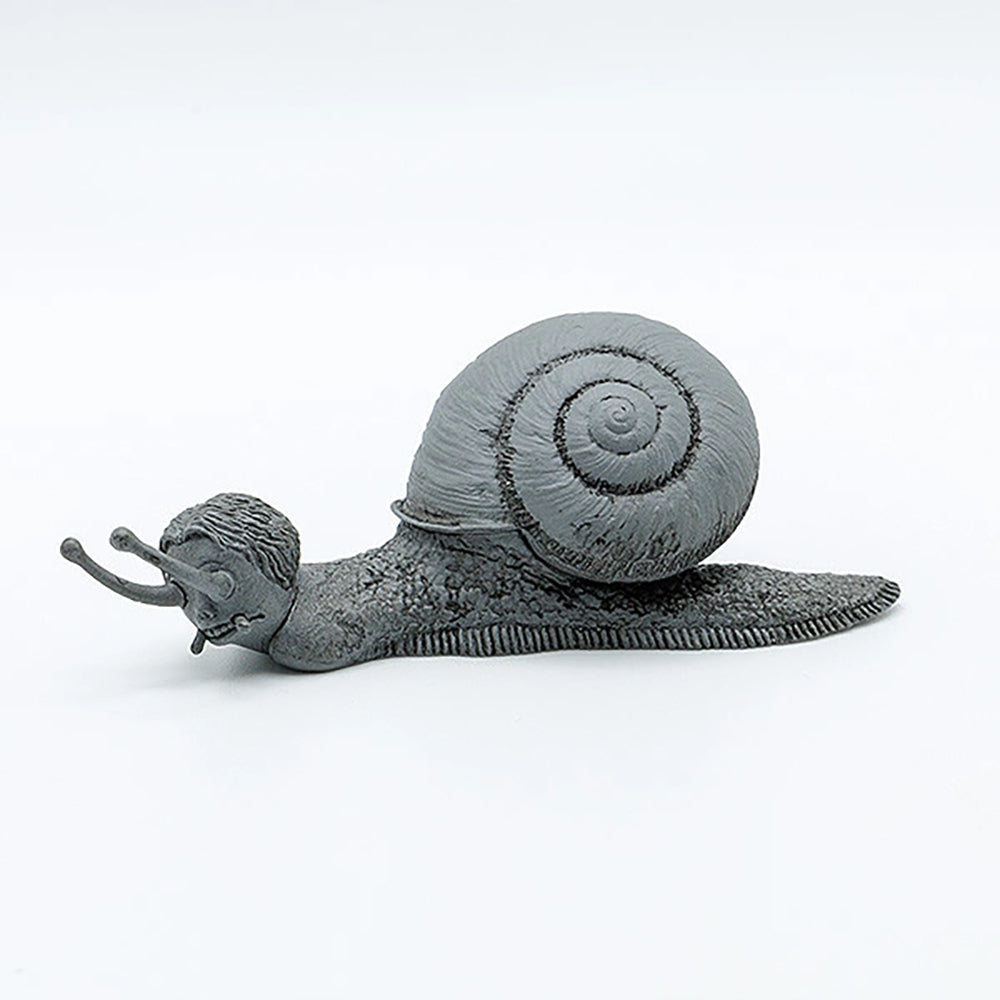 【限購】漩渦 詛咒小箱  (1箱8盒)